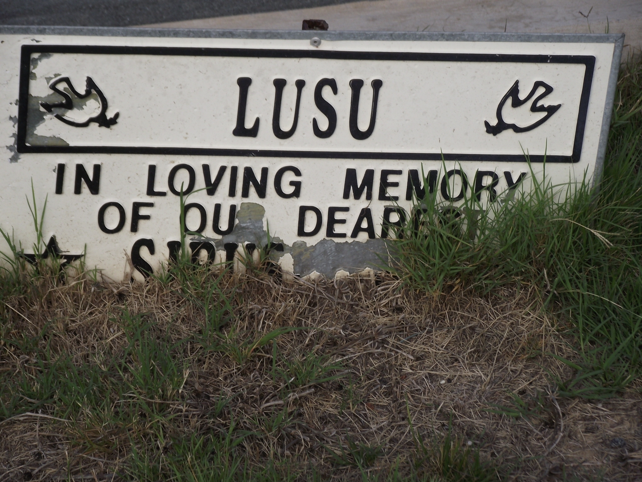 LUSU Sibasiswe 1995-2007