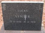 VENTER Lucas 1956-1956