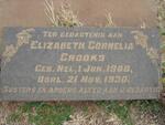 CROOKS Elizabeth Cornelia 1908-1930