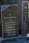 MADLINGOZI Pumla Charity 1969-2009