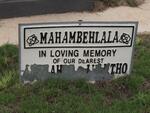 MAHAMBEHLALA Baby of Glory 2005-2005