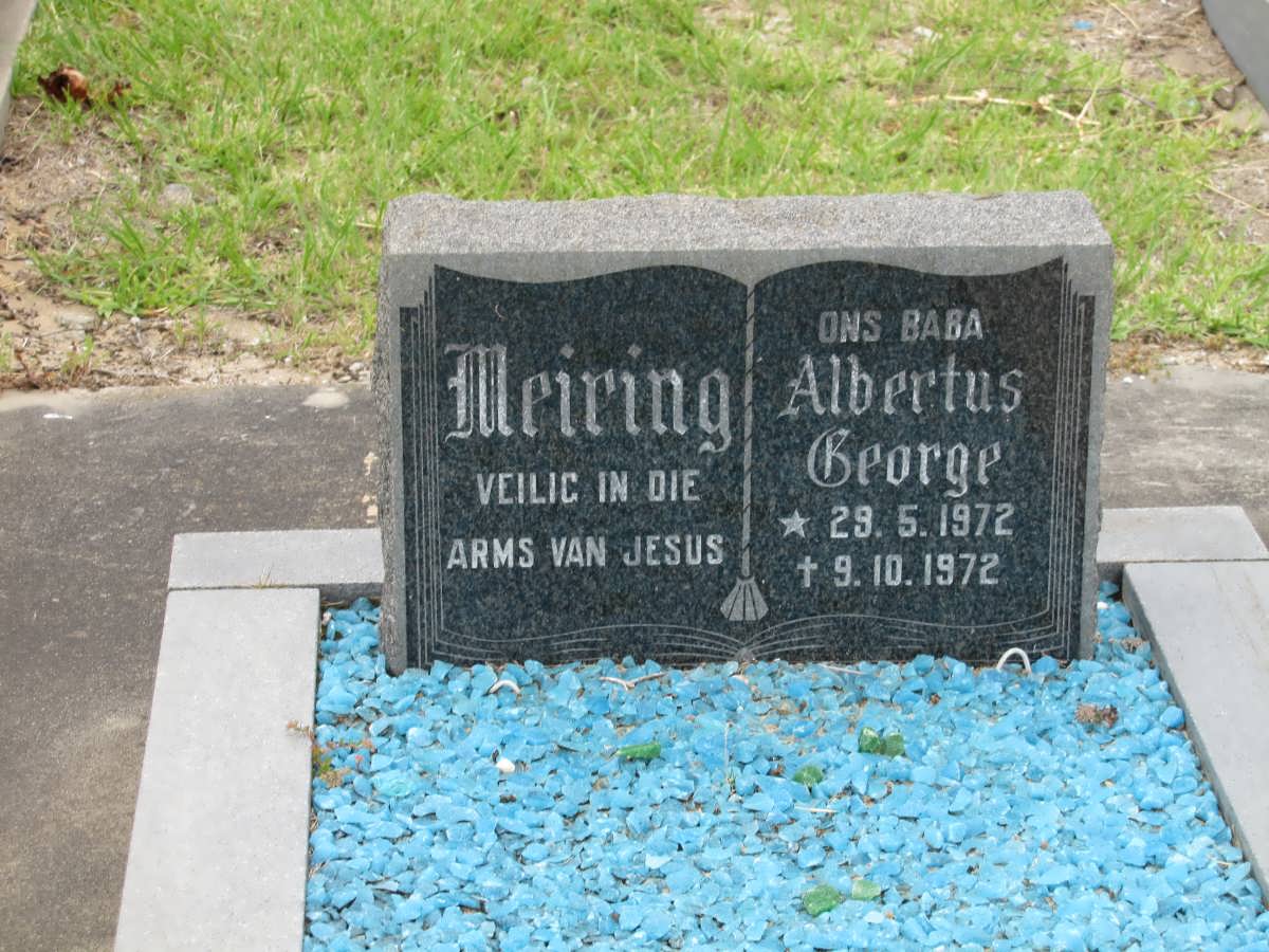 MEIRING Albertus George 1972-1972