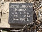 MORGAN Hester Johanna 1913-1964
