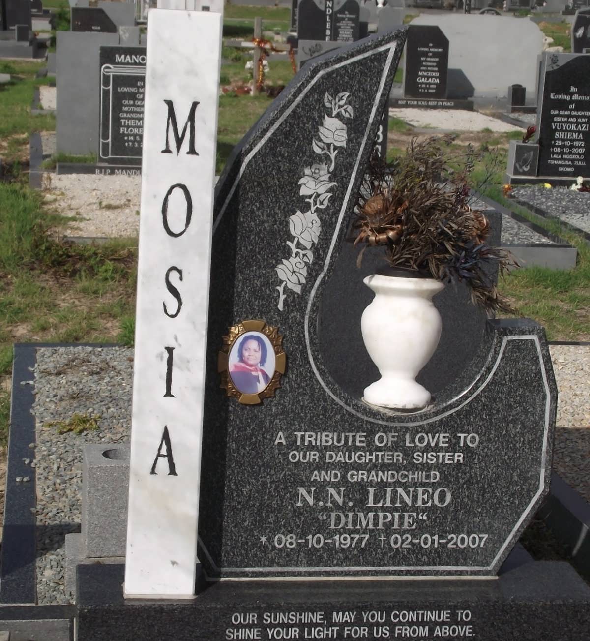 MOSIA N.N. Lineo 1977-2007