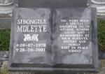 MDLETYE Sibongile 1978-2001