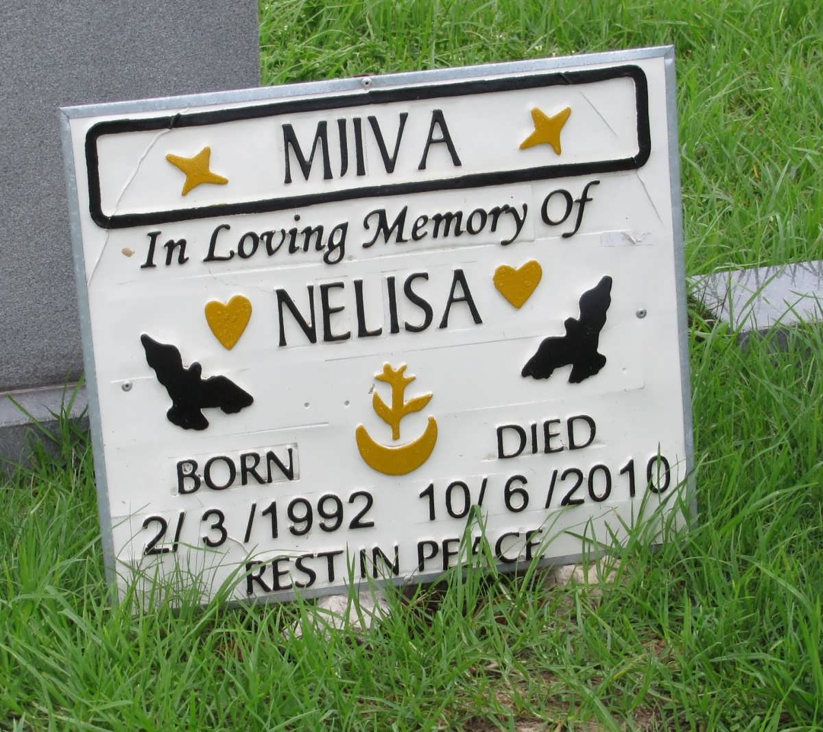 MJIVA Nelisa 1992-2010