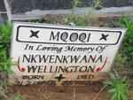 MQOQI Nkwenkwana Wellington 1946-2000