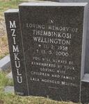 MZIMKULU Thembinkosi Wellington 1958-2000