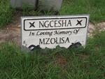 NGCESHA Mzolisa 1984-2004