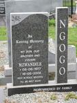NGOGO Mzwandile 1977-2006