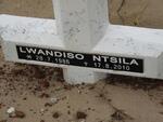 NTSILA Lwandiso 1986-2010