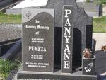 PANYANE Pumeza 1979-2006