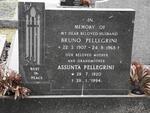 PELLEGRINI Bruno 1907-1968 & Assunta 1920-1994