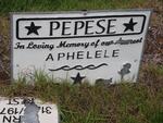 PEPESE Aphelele 2002-2002