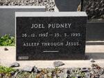 PUDNEY Joel 1992-1995