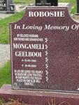 ROBOSHE Mongameli Geelbooi 1940-2005