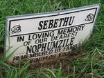 SEBETHU Nophumzile 1952-2007
