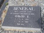 SENEKAL Dawid E. 1935-1997