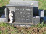 SIMPSON Andrew Peter 1994-1994
