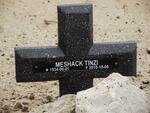 TINZI Meshack 1934-2010