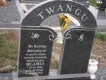 TWANGU Mlamli 1950-2008