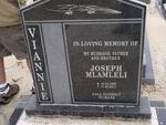 VIANNIE Joseph Mlamleli 1960-2011
