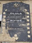 DLULA Siviwe 1971-2011