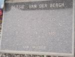 BERGH E.J., van der 1935-1985