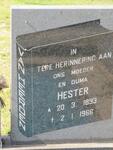 HEERDEN Hester M., van 1893-1966