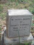 CAMPBELL Rodney 1955-1955