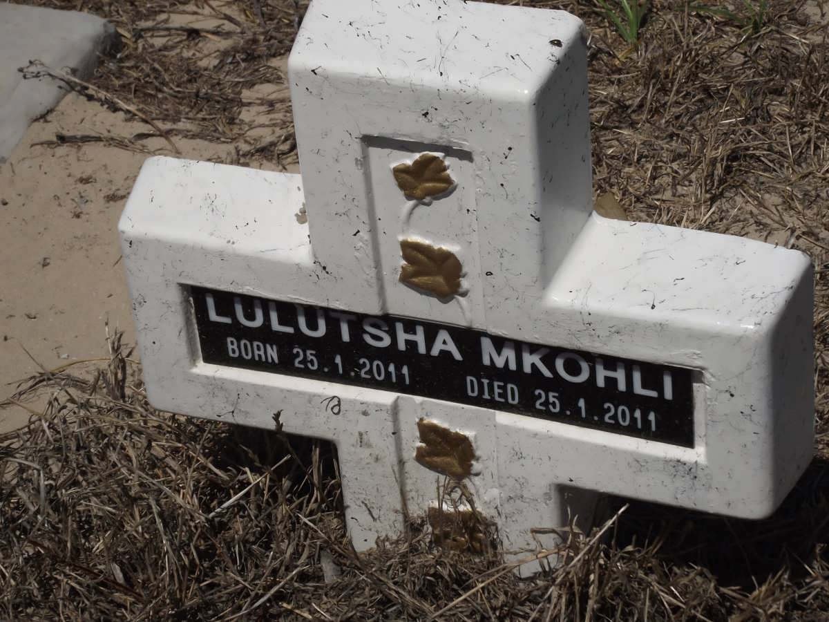 MKOHLI Lulutsha 2011-2011