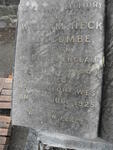 LUSCOMBE William Neck 1849-1925