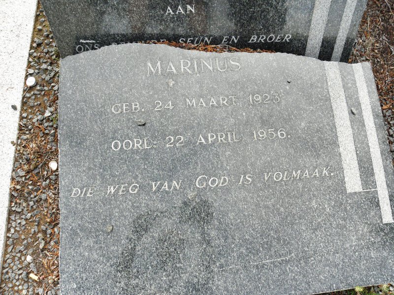 PIENAAR Marinus 1923-1956