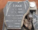 ? Tinkie 1966-1966