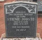 JOOSTE Stienie 1906-1971