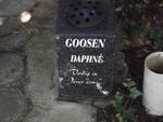 GOOSEN Daphné