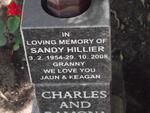 HILLIER Sandy 1954-2008