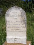 JACOBS H.G. 1881-1882