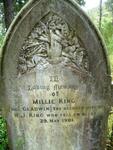 KING Millie nee GLADWIN -1901