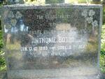 BOTHA Anthonie 1883-1957