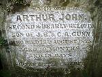 GUNN Arthur John -1875