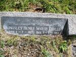 TROLLIP Kingsley Henry Marsh 1917-1964