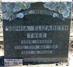 TREE Sophia Elizabeth nee GERBER - 1961
