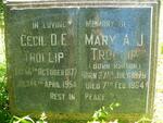 TROLLIP Cecil D.E. 1877-1954 & Mary A.J. ROBSON 1879-1964