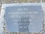 NEL Pieter J.F. 1892-1960