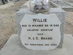 BRAND Willie 