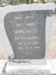 O'CALLAGHAN Morgan C. 1874-1948
