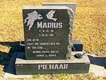 PIENAAR Marius 1991-1996