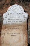 HARTMAN Alexandrina Eleanora nee MULLER 1868-1898