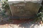NOPPE Antonius P.J. 1919-1976